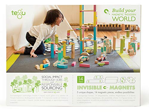 14 Piece Tegu Magnetic Wooden Block Set, Blues