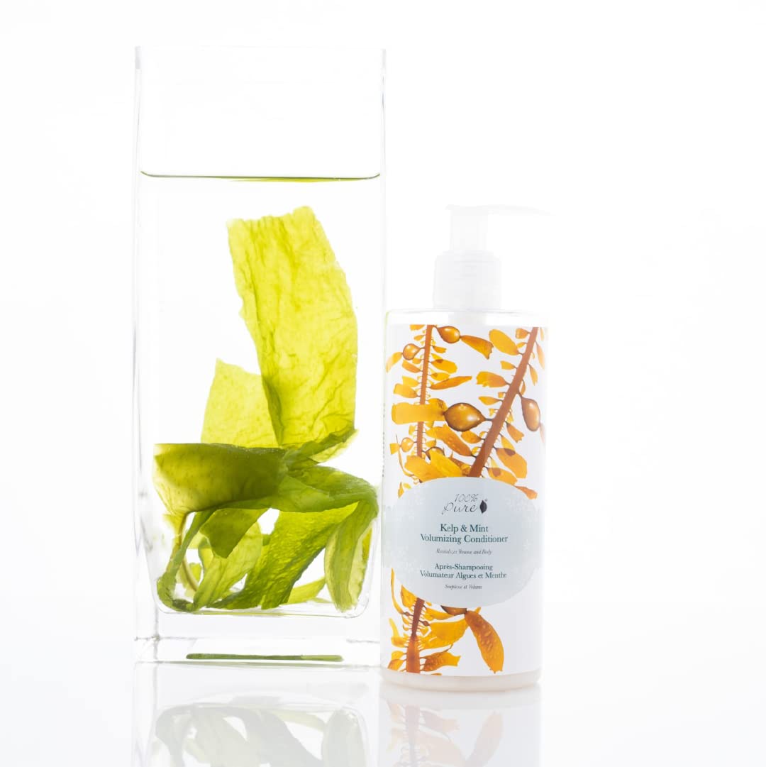 100% PURE Kelp & Mint Volumizing Conditioner Moisturizer & Deep Hydration - Natural Body Boost for Dry, Damaged Thinning Hair, Promotes Healthy Growth for Women & Men - Sulfate Free - 13 Fl Oz