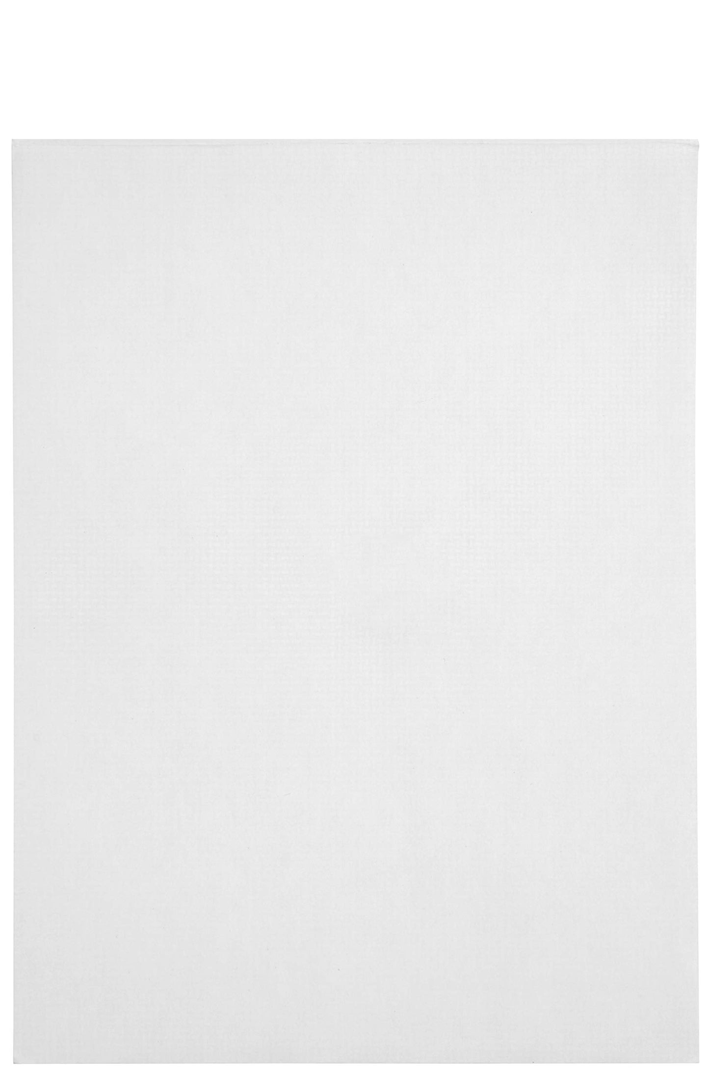 250 6 X 9 Self Seal Security Catalog Envelopes, Designed for Secure Mailing, Securely Holds Small Booklets, Catalogs, Cards, or Brochures with Strong Peel and Seal Flap, 250 Envelopes