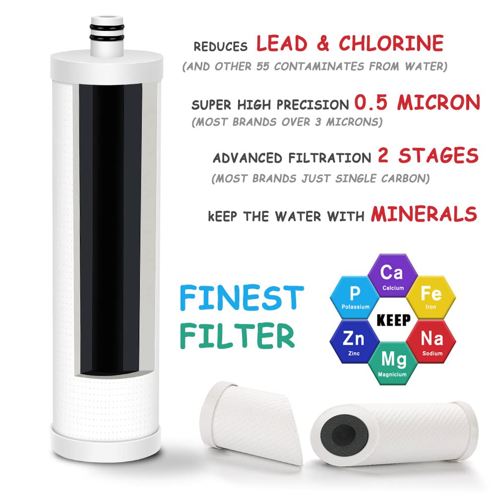 Frizzlife FZ-2 Replacement Filter Cartridge For MP99, MK99, MS99 Under Sink Water Filter & MV99 RV Filter - Pack 2