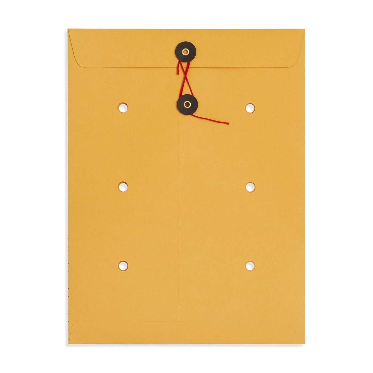 Blue Summit Interoffice Envelopes with String 9x12, String Tie, Brown Kraft, Interdepartment Envelopes, 9 x 12 Inches – 100 Envelopes