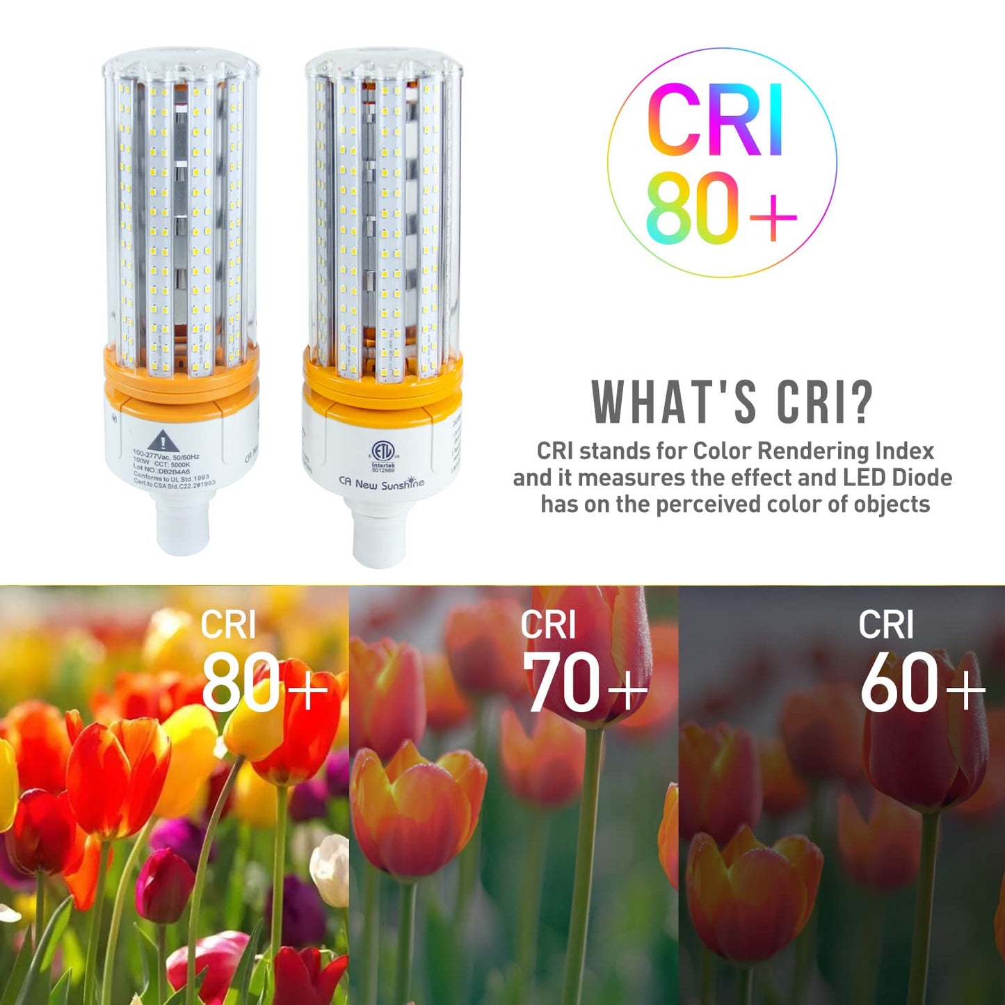 1000W Equivalent LED Corn Bulb, Led Corn light bulbs 15000 Lumen 5000K Daylight White Lamp,E26/E39 Medium Mogul Base,2-Pack 100W Large Area Lights For Outdoor Indoor Garage Warehouse High Bay Lighting