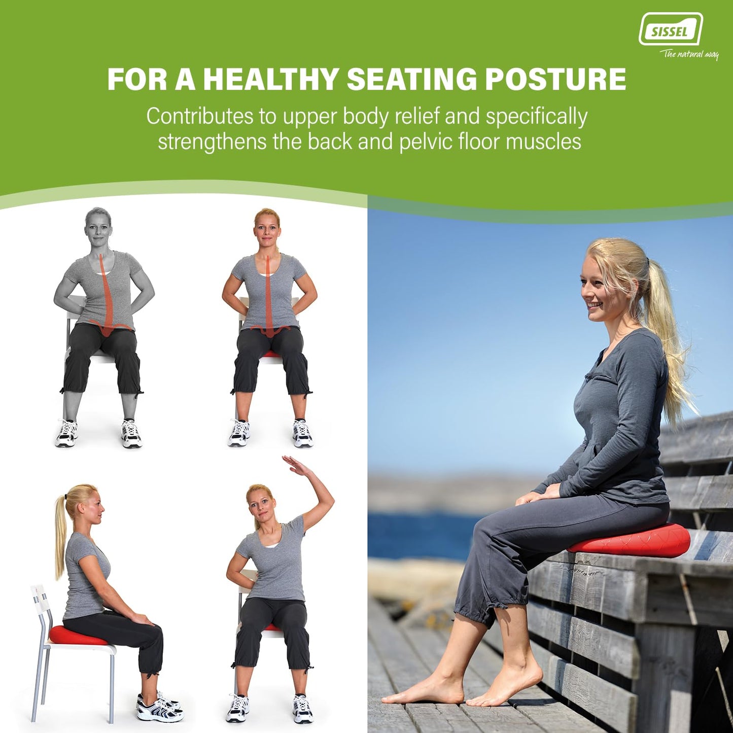 SISSEL SITFIT Plus | Active & Dynamic Sitting | 2-in-1 Function | Adjustable Pressure | Black, 14.5 in | Strengthens Back Muscles | Includes Pump & Exercise Poster