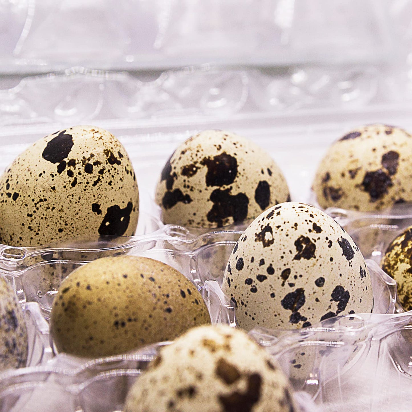 LEXININ 100PCS 24 Grid Quail Egg Cartons, Clear Quail Egg Containers, Plastic Quail Egg Holder Trays for Kitchen Storage