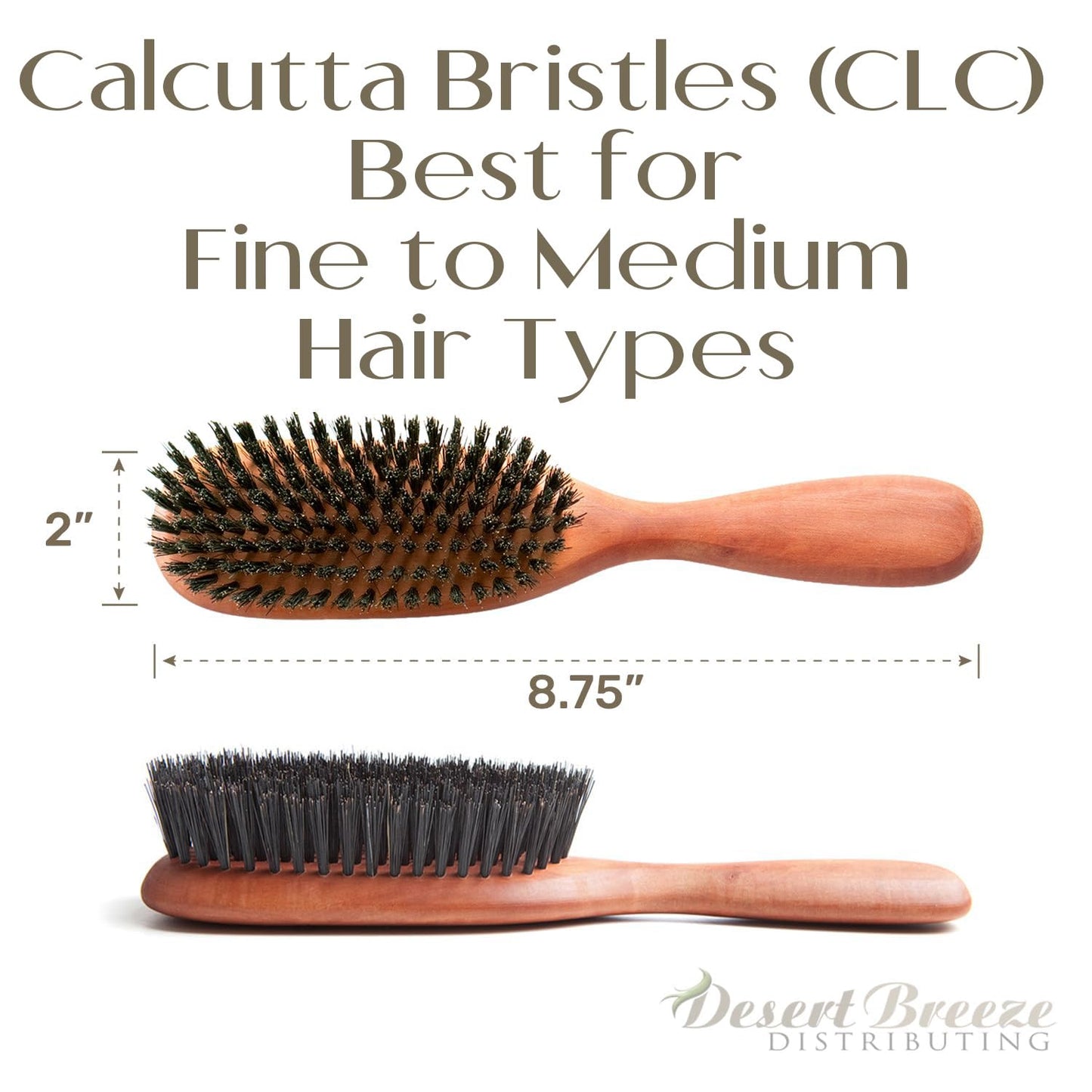 100% Pure Calcutta Boar Bristle Hairbrush for Natural Healthy Hair, Stiff Bristle, Made in Germany's Black Forest