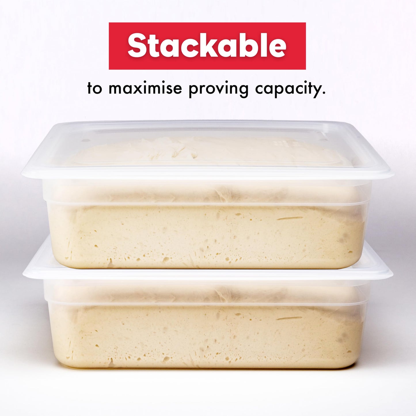Brod & Taylor Proofing Container With 6L Capacity, Fits Up to 3000 Grams of Dough – Dough Rising Box for Bread, Sourdough & Pizza (Dishwasher Safe, BPA-Free)