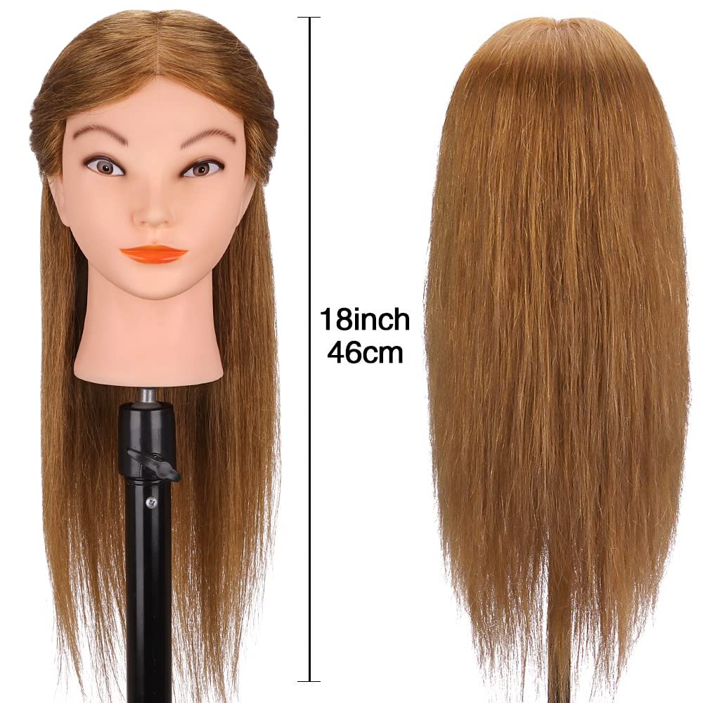 Mannequin Head with 100% Real Hair, TopDirect 18" Brown Real Hair Cosmetology Manikin Head Hairs Styling Hairdressing Practice Training Doll Heads with Clamp Holder and Tools