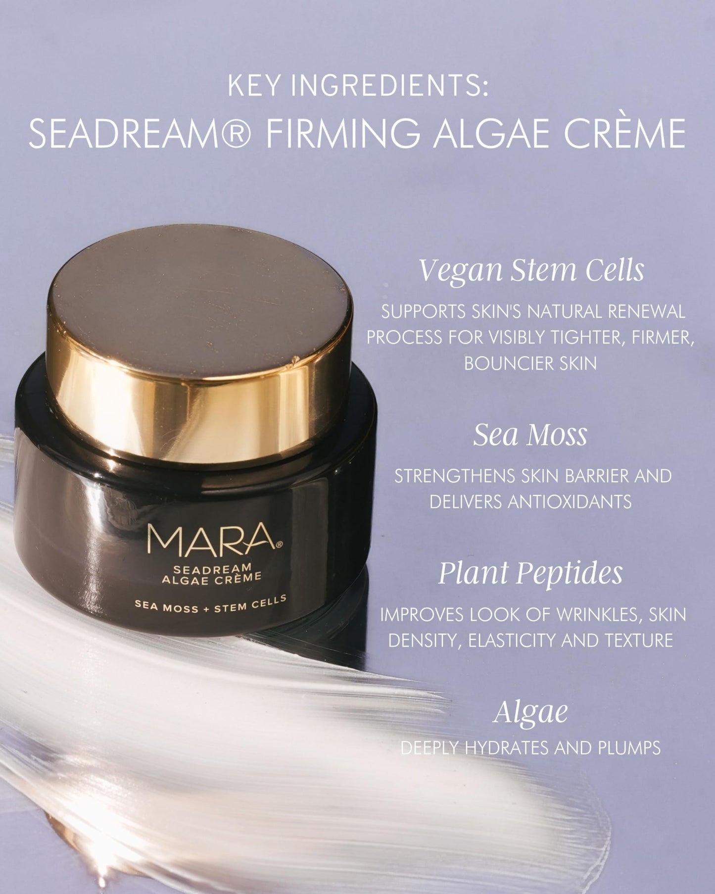MARA - SeaDream Firming Algae Creme | Plant-Based Care for All Skin Types | Hydrates + Targets Fine Lines (1.7 fl oz | 50 ml)