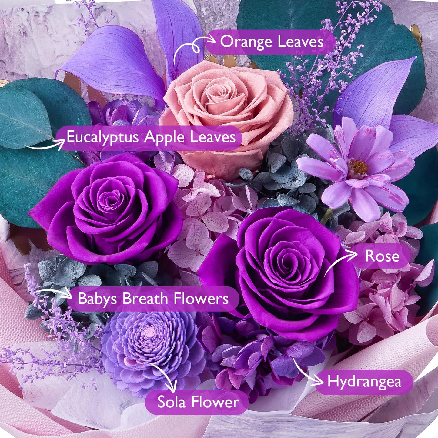 Eterfield Flowers for Delivery Prime, Mother's Day Forever Flowers Bouquet, Preserved Roses and Purple Flowers Birthday Gifts for Her Women Wife Mom Grandma Anniversary Valentines Day Christmas