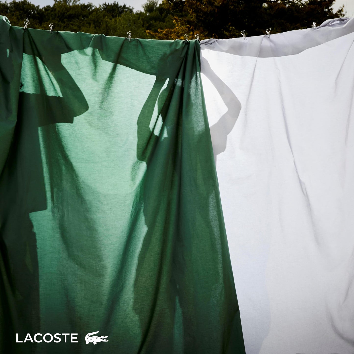 Lacoste 100% Cotton Percale 4-Piece Sheet Set – Crisp Cool Breathable All-Season Bedding, Oeko-Tex Certified, Soft Matte Finish, Durable Premium Cotton – Solid, Navy, Queen