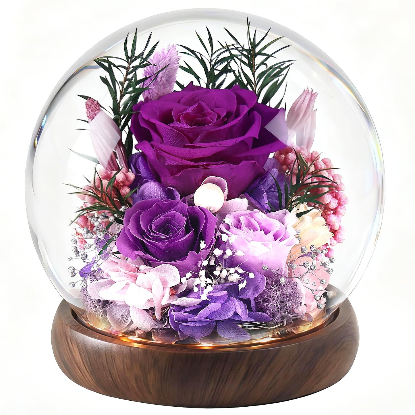 ChosiaRose Preserved Flowers for Delivery - Preserved Roses Forever Flowers Gifts for Mom Grandma,Forever Purple Roses Gift in Acrylic Dome for Her Birthday Flower Gift for Women Wife Mother Valentine