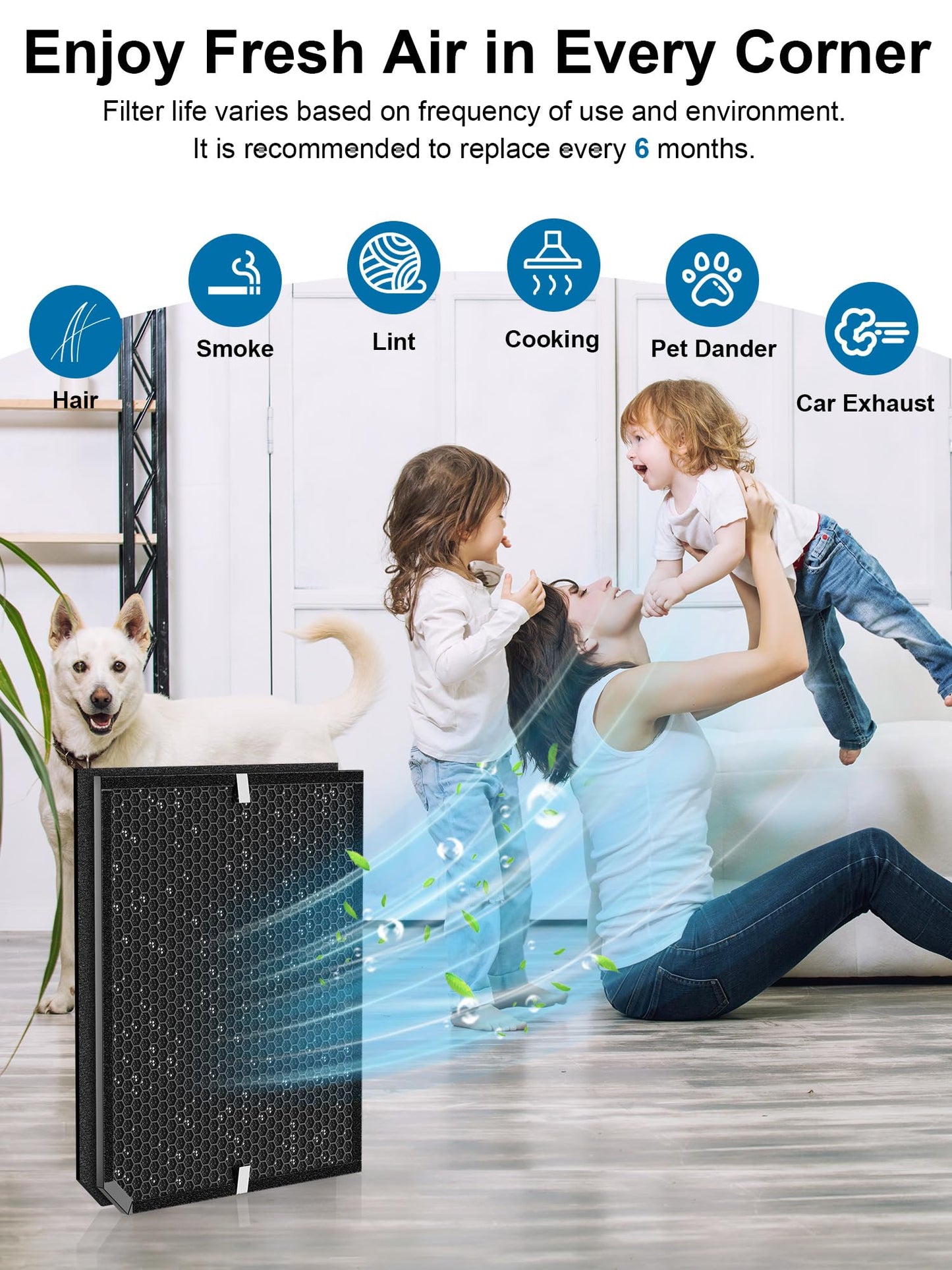 Ecofort 2000 Replacement Carbon Filter Compatible with Air Doctor 2000 / 2000i Air Purifier โ Includes 2 Activated Carbon Filters and 4 Pre-Filters โ Compare to ADF2002, ADF2003