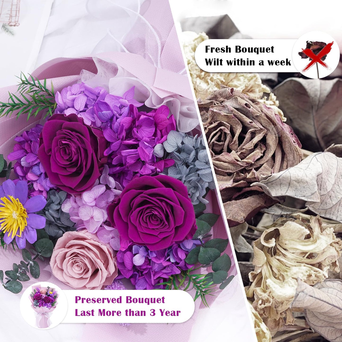Waipfaru Preserved Flowers, Purple Fresh Bouquet with Gift Box, Flowers for Delivery Prime, Forever Flowers for Women Birthday Gift, Anniversary, Teacher, Mother Day, Valentines Day Gifts for Her
