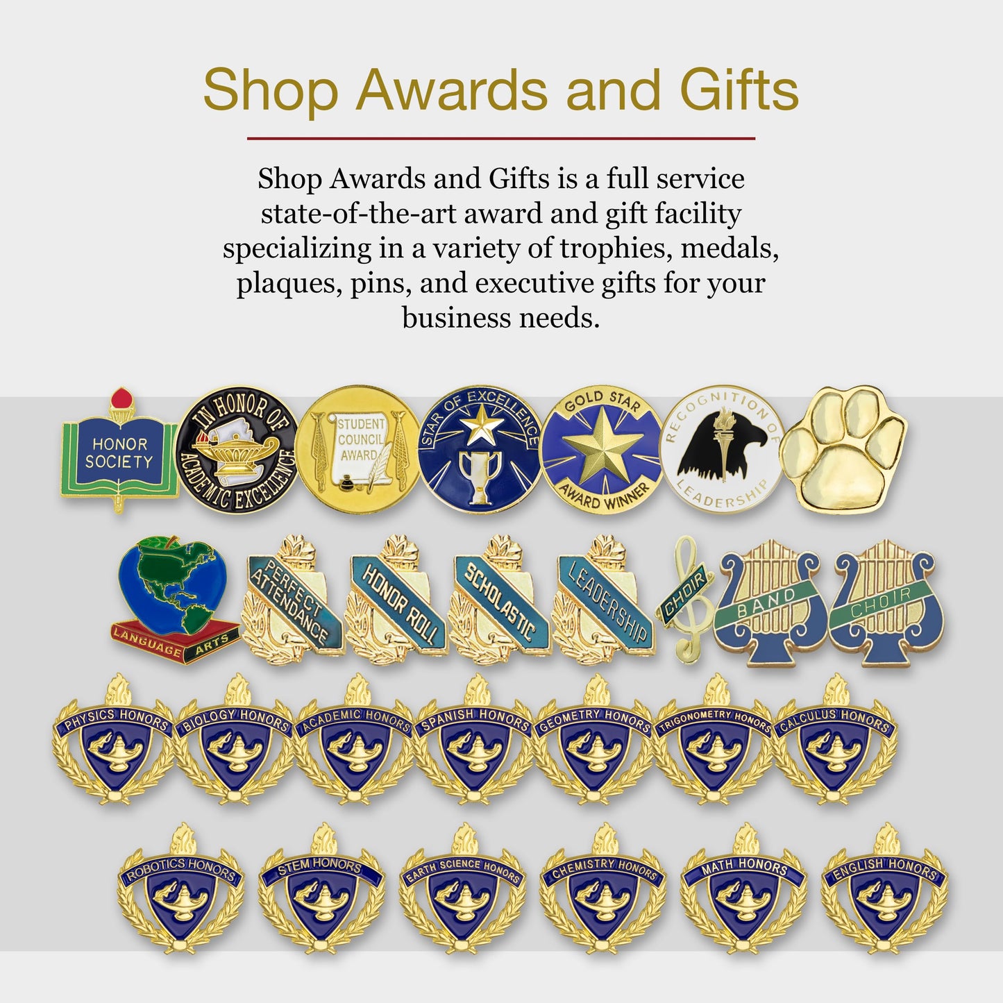 SHOP AWARDS AND GIFTS Star Performer Lapel Pins for Employee of the Month, Staff Recognition, Volunteer Appreciation, Student Awards, Bulk Pack of 12, Poly Bagged, 7/8 Inch