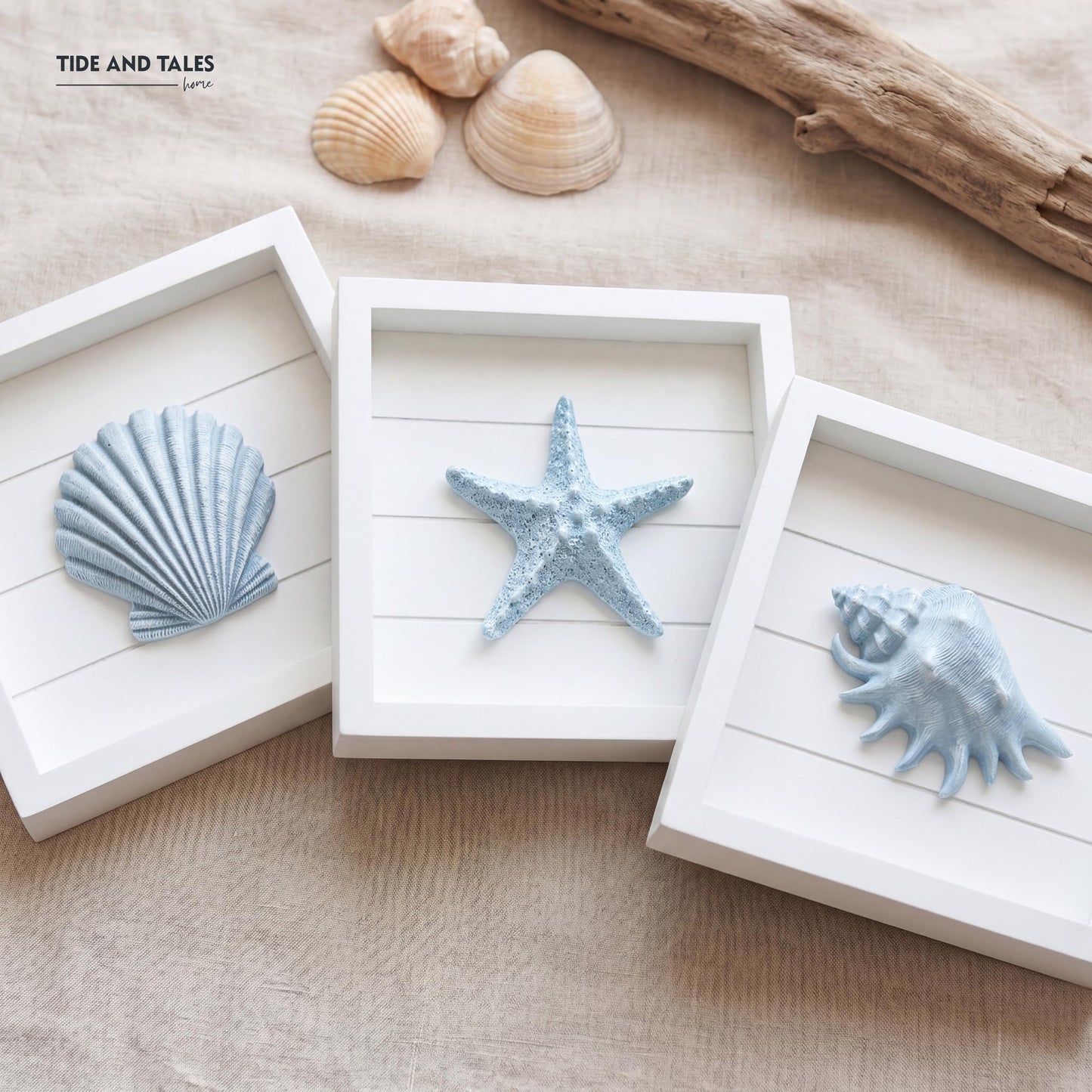 TideAndTales Blue Seashells and Starfish (Framed Set of 3) Coastal 3D Wall Art, Beach Wall Decor for Bathroom or Coastal Bedroom, Ocean Inspired Seaside Decorations for Home or Beach House (7"x7")