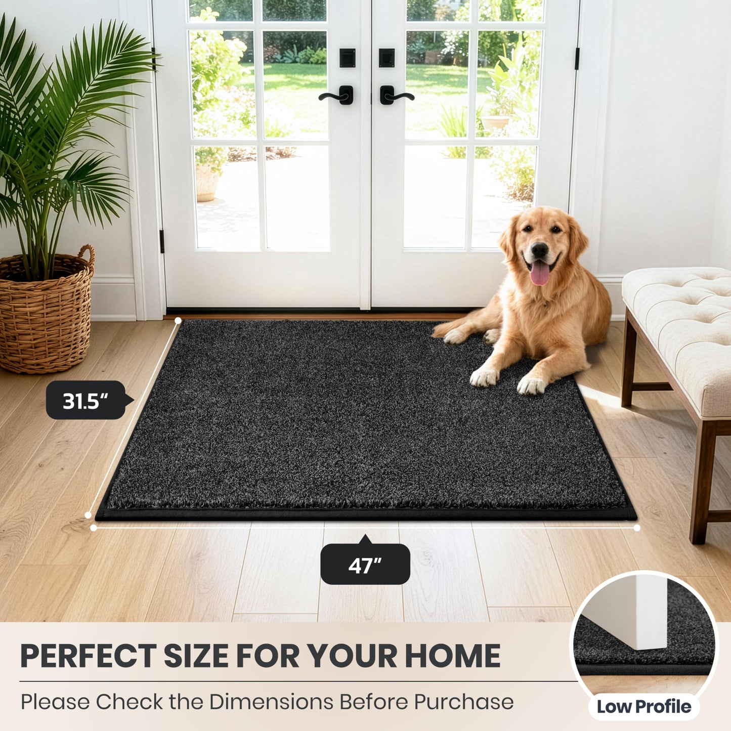 PURRUGS Dirt Trapping Door Mat 31.5" x 47", Non-Slip Machine Washable Entryway Rug, Dog Doormat, Indoor Front Door Mat, Super Absorbent Entry Rug for Muddy Shoes & Paws, Charcoal