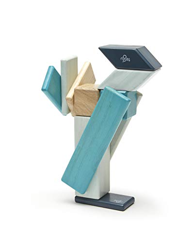 14 Piece Tegu Magnetic Wooden Block Set, Blues