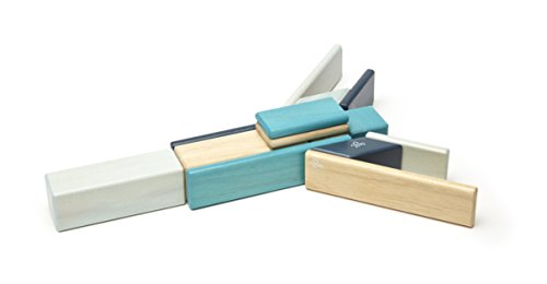 14 Piece Tegu Magnetic Wooden Block Set, Blues
