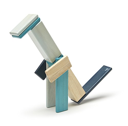 14 Piece Tegu Magnetic Wooden Block Set, Blues