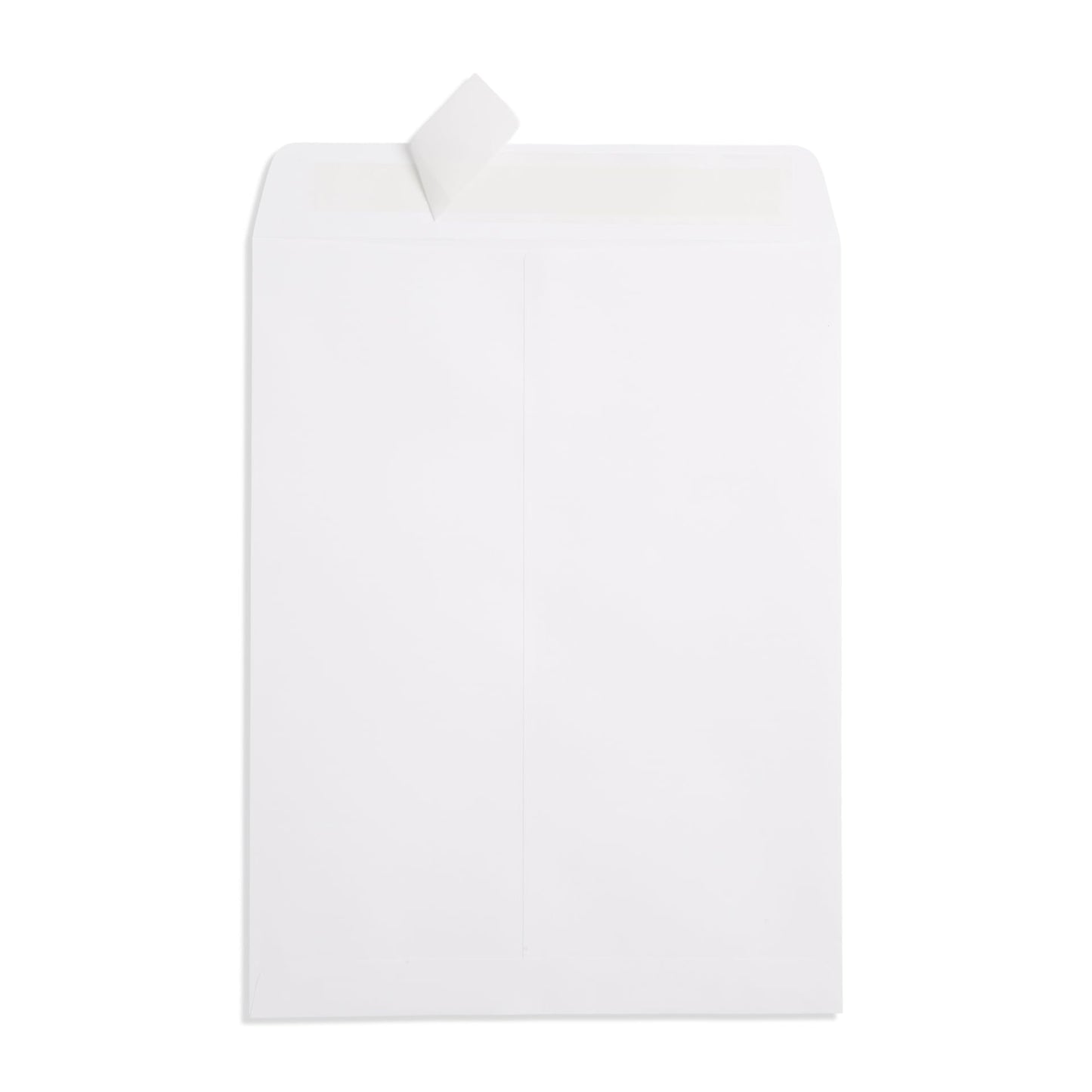 Blue Summit 100 9x12 Envelopes with Window 9 x 12 Large Window Envelopes- Security Tinted, Strong Self Seal, 100 Pack