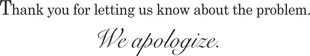 CEO Cards - Business Apology Greeting Cards (Our Sincere Apologies), 5x7 Inches, 25 Cards & 26 White Envelopes (AP1801)
