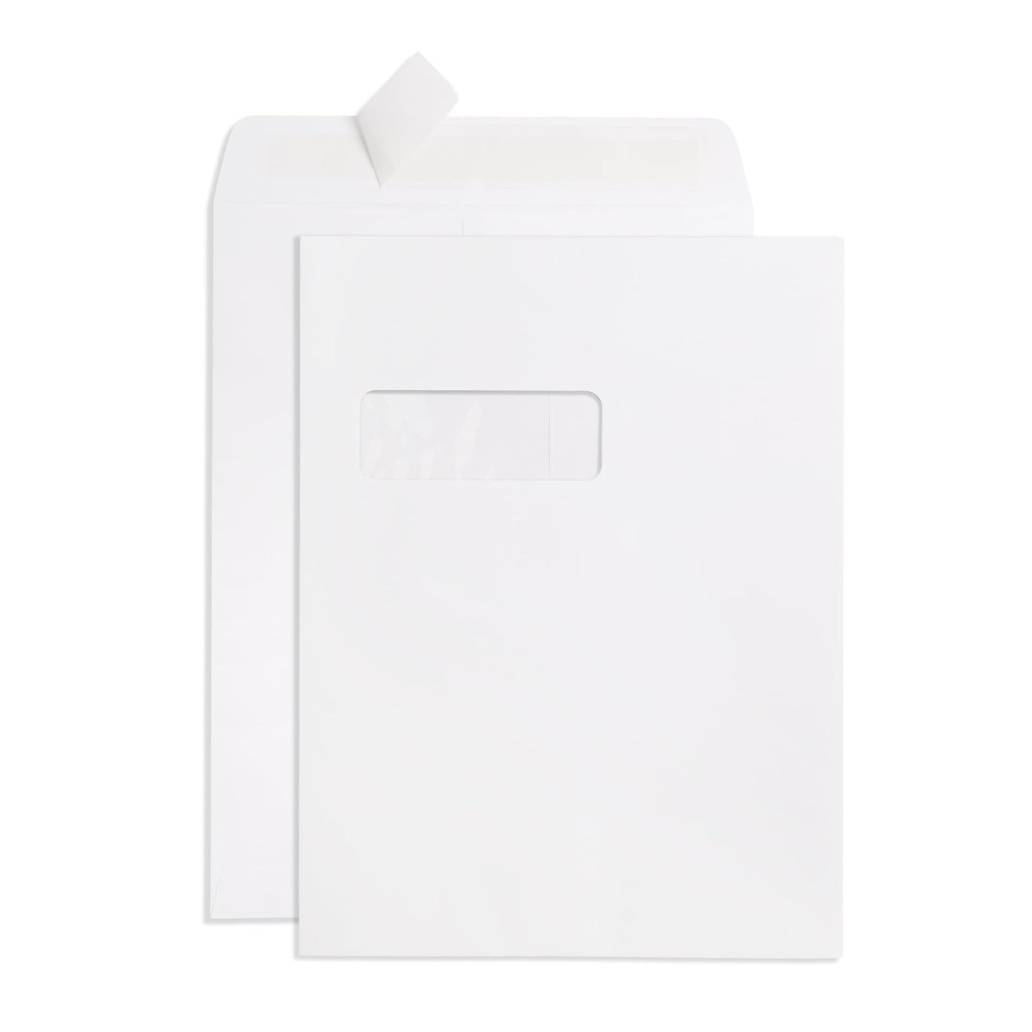 Blue Summit 100 9x12 Envelopes with Window 9 x 12 Large Window Envelopes- Security Tinted, Strong Self Seal, 100 Pack
