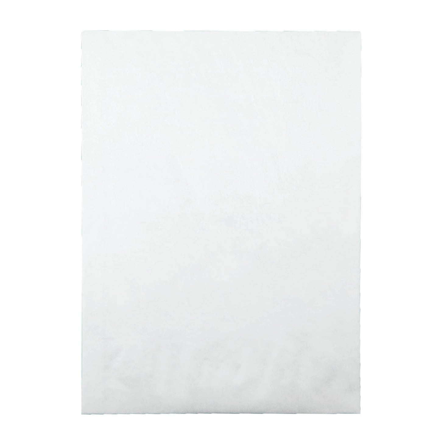 Quality Park Tyvek Envelopes, 25 Pack, Large 10 x 13 Mailers, 2 Inch Expansion, Rip, Puncture & Water Resistant Self Sealing Mailing Bags for Lightweight Shipping, White
