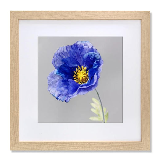 VNVNK 24x24 Frame Natural Wood Color, Perfect for 24x24 Inch Picture without Mat or 20x20 Inch Picture with Mat, Home Wall Decor Picture Frame-1 PCS