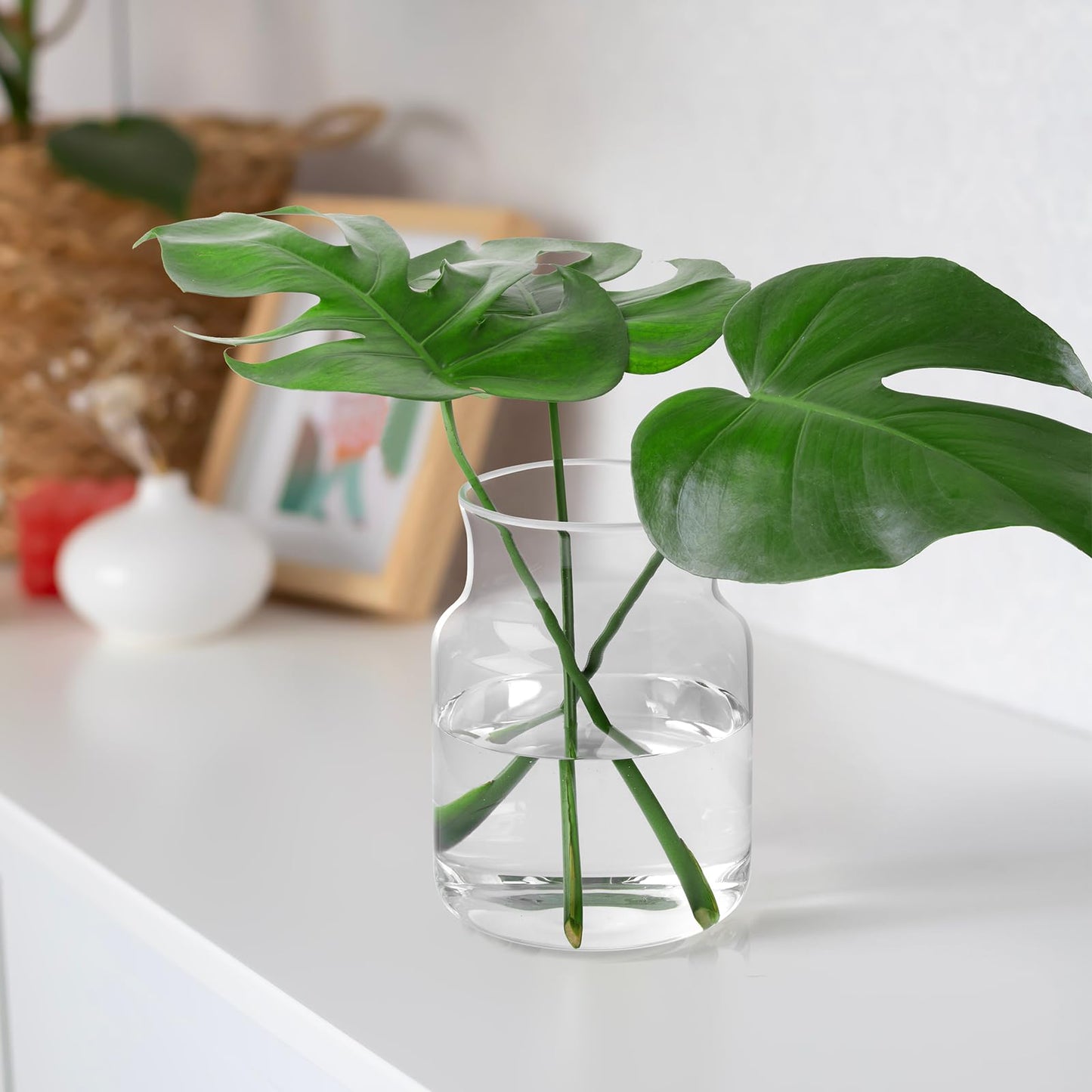 BWODYAY Clear Glass Vase, Large Flower Vase, 8-inch Glass Flower Vase for Plants, Wide Mouth Vase for Home, Wedding, Living Room, Dining Table