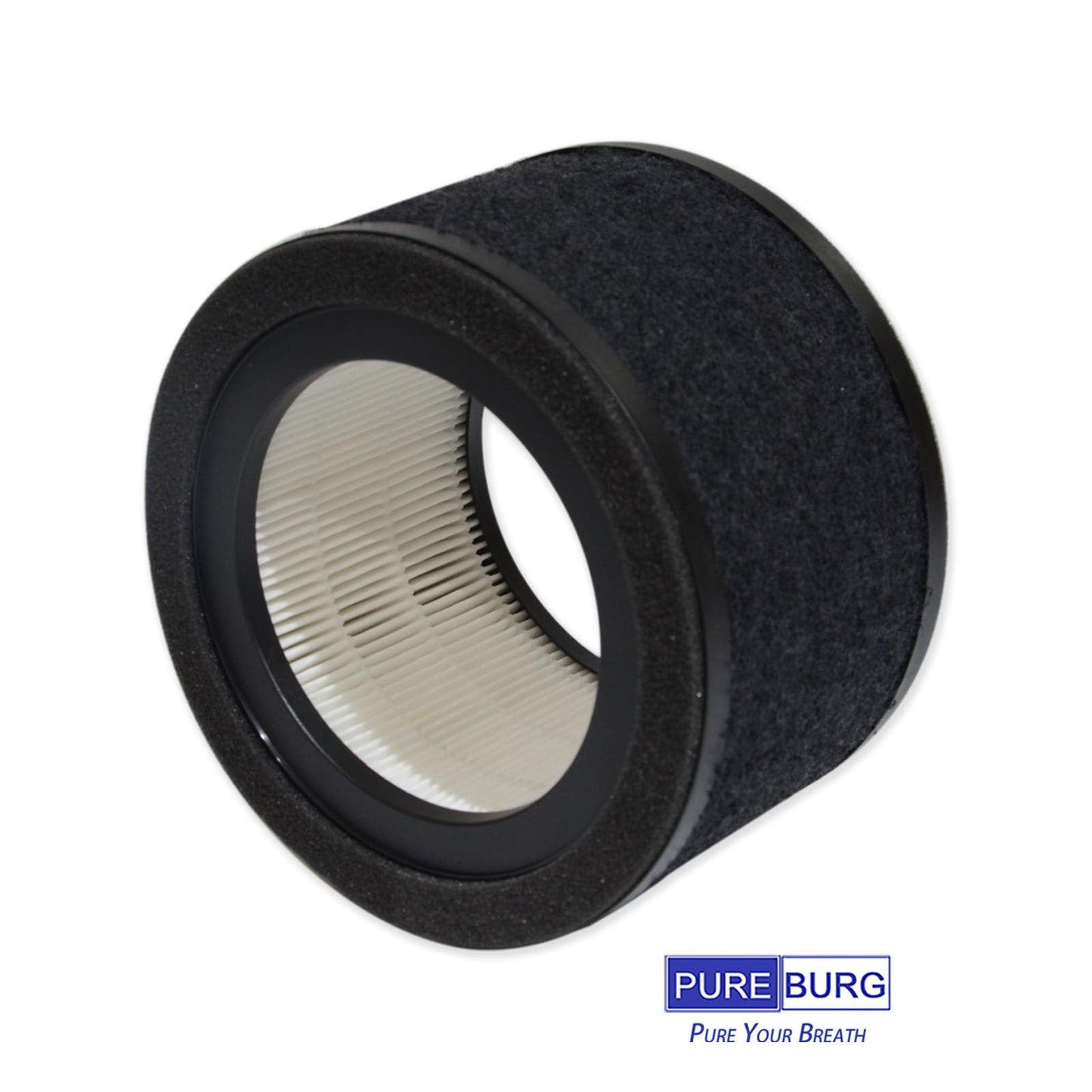 PUREBURG Replacement Filter Compatible with GermGuardian AC4200W AC4250B Air Purifier Parts FLT4200, Filter L, H13 True HEPA and Activated Carbon Pre-Filter, Pack of 2