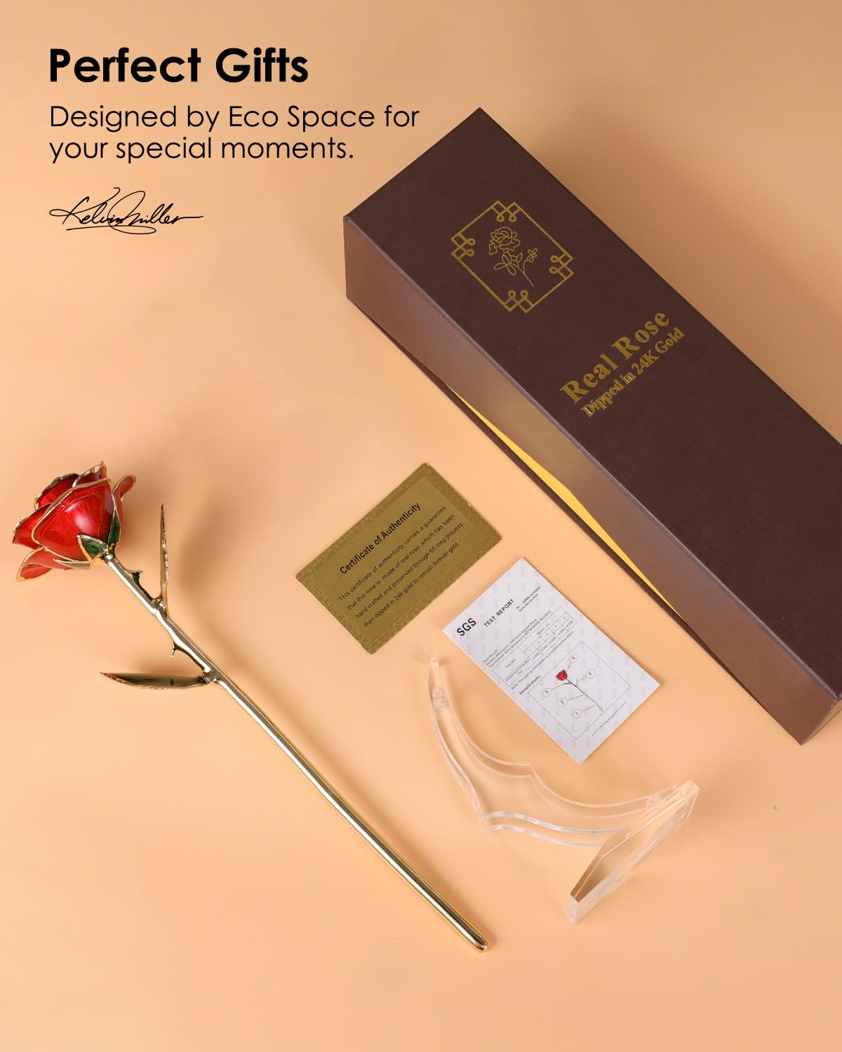 ECO SPACE Gold Dipped Rose - Hand-Dipped Real 24K Gold Rose - Genuine One of a Kind - Eternal Romantic Present for Her - Perfect for Valentines, Mother's Day, Anniversary, Birthday (Red)