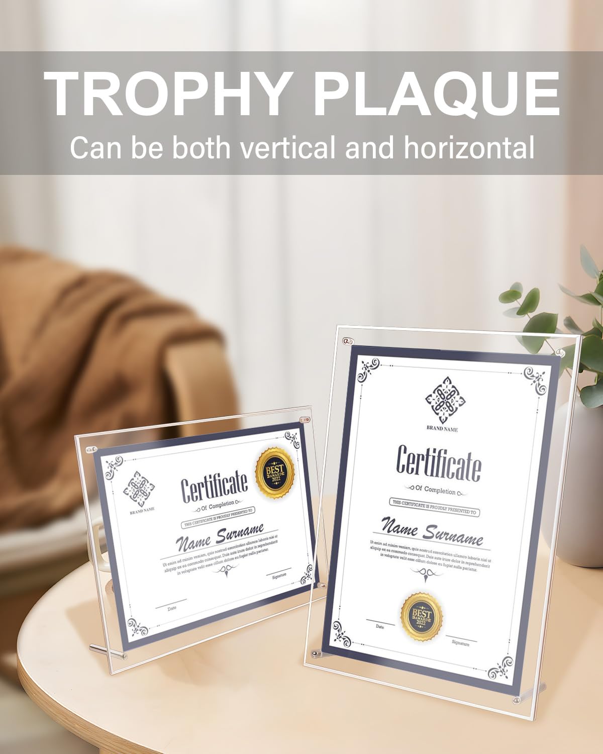 GooodiderX 2PCS Award Plaques,13 x 9.5 in Acrylic Certificate Frame,Employee of The Month Plaque,Picture Plaques Holds A4 Size Paper,Placed Your Award,Diploma Certificate (Acrylic Plaque 2pcs)