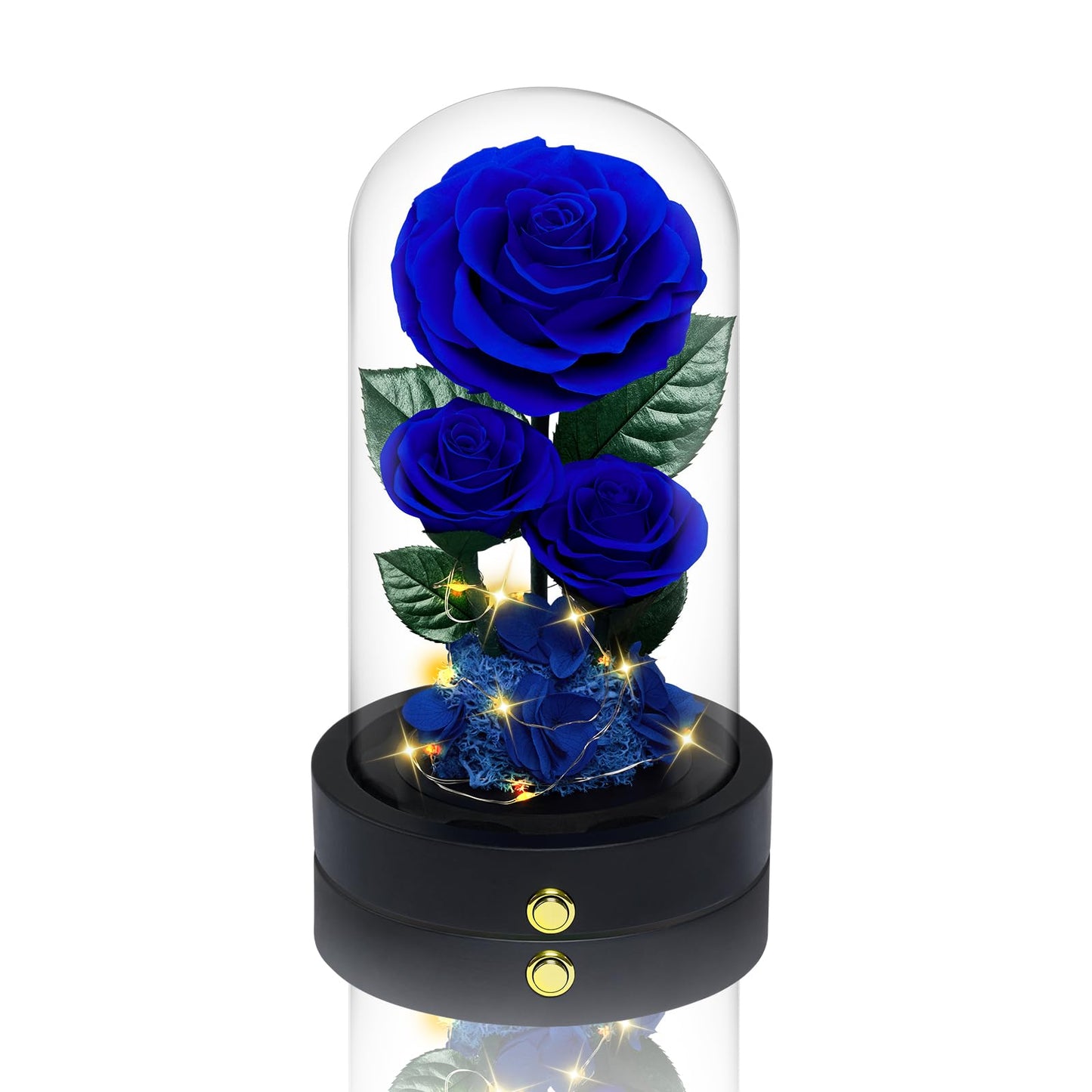 Vryblos 3 Preserved Flowers Roses in Glass Dome for Beauty and The Beast Decor Real Rosas Eternas for Women Mom Birthday,Forever Blue Roses for Delivery,Christmas for Wife Girlfriend Her