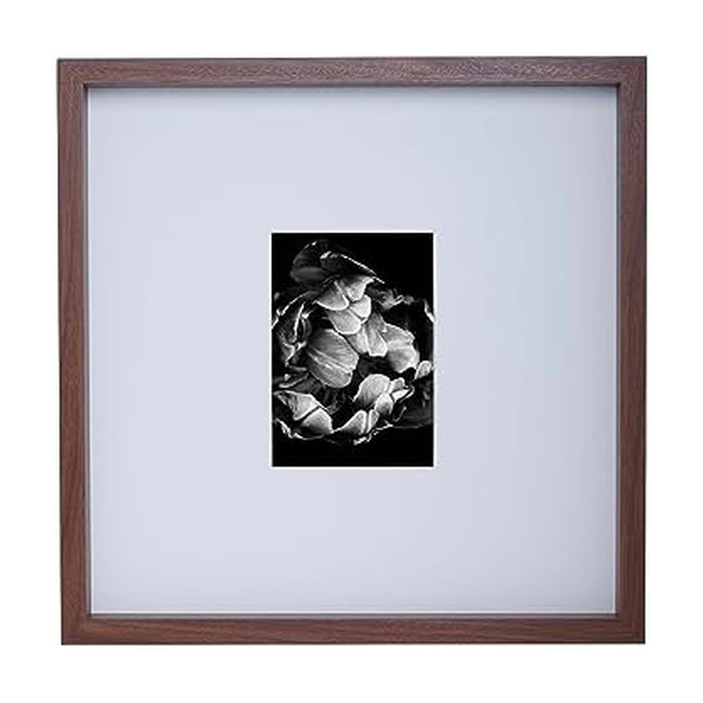 Mikasa Wood Gallery Wall Frame, 15x15 Matted to 5x7, 16x1.57x16 Inch, Walnut