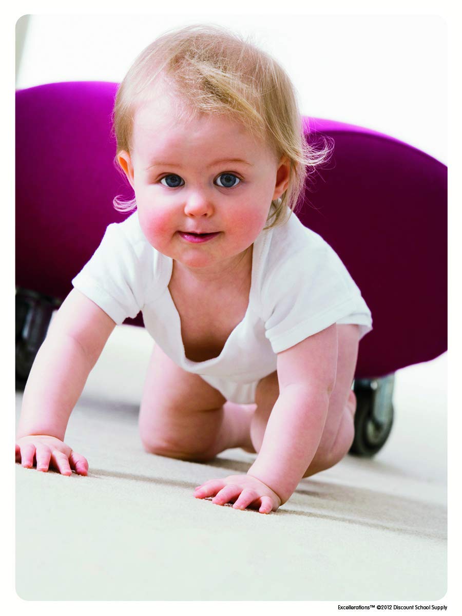 Infant Real Photo Poster Set of 12 for Daycare, Home, Classroom or Preschool use, Multicultural Awareness, Diversity Posters (Item # BABYPIC)