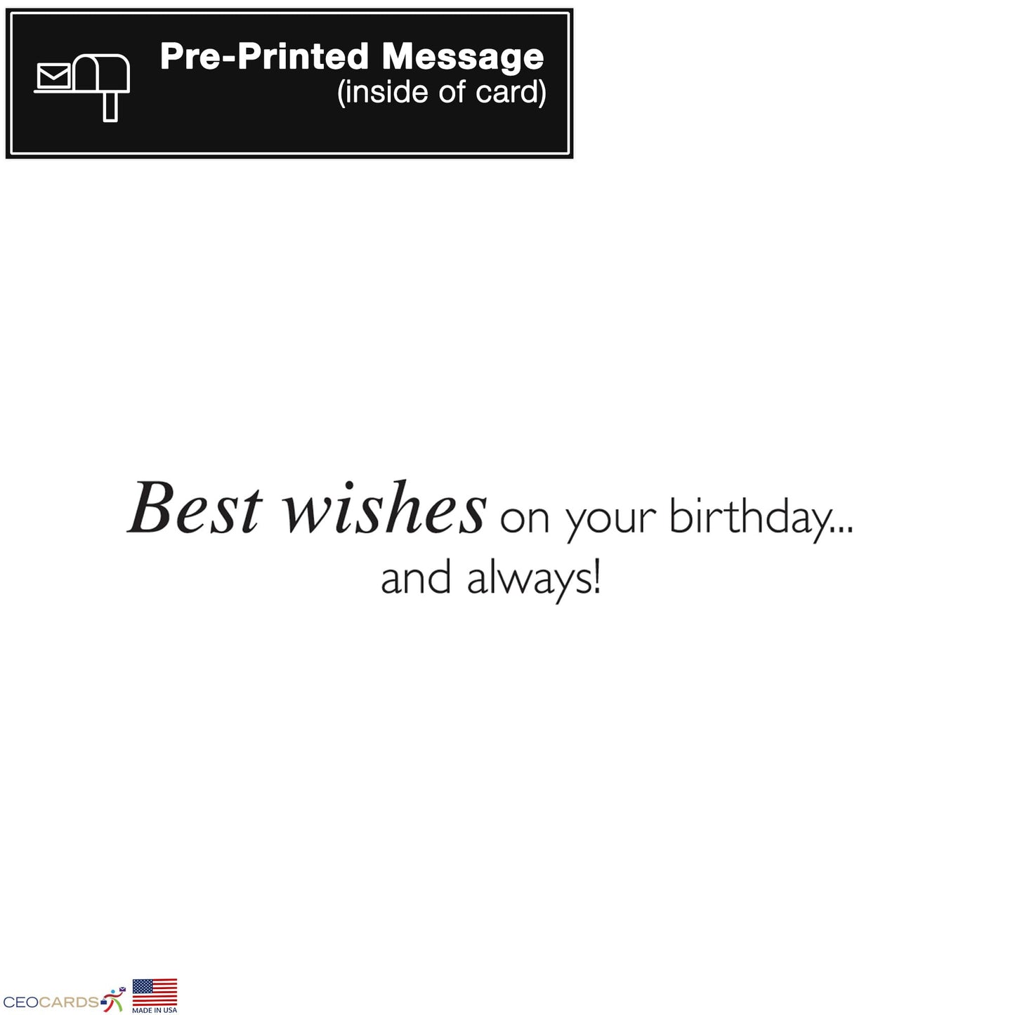 Happy Birthday Cards with Envelopes for Family and Business (Watercolors) Bulk 25 Pack of Greeting Cards with Envelopes (5x7 inch - A7) Office, Work, Employees & Clients (B2404) Made in USA