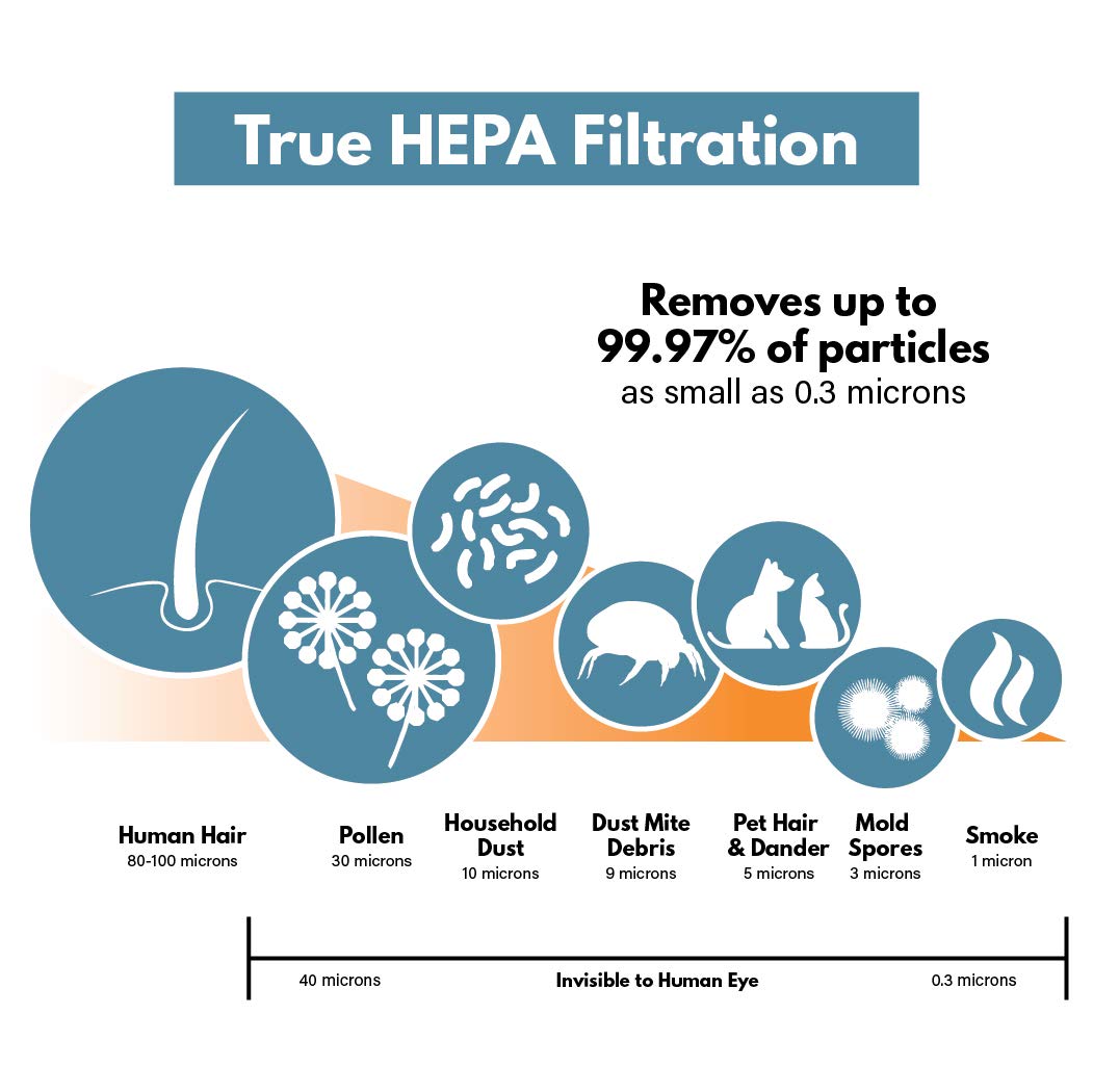 Filter-MonsterReplacement Filter Value Combo Pack Compatible with Honeywell HRF-ARVP for HPA090, HPA100, HPA200, HPA250, HPA300 Air Purifier Series