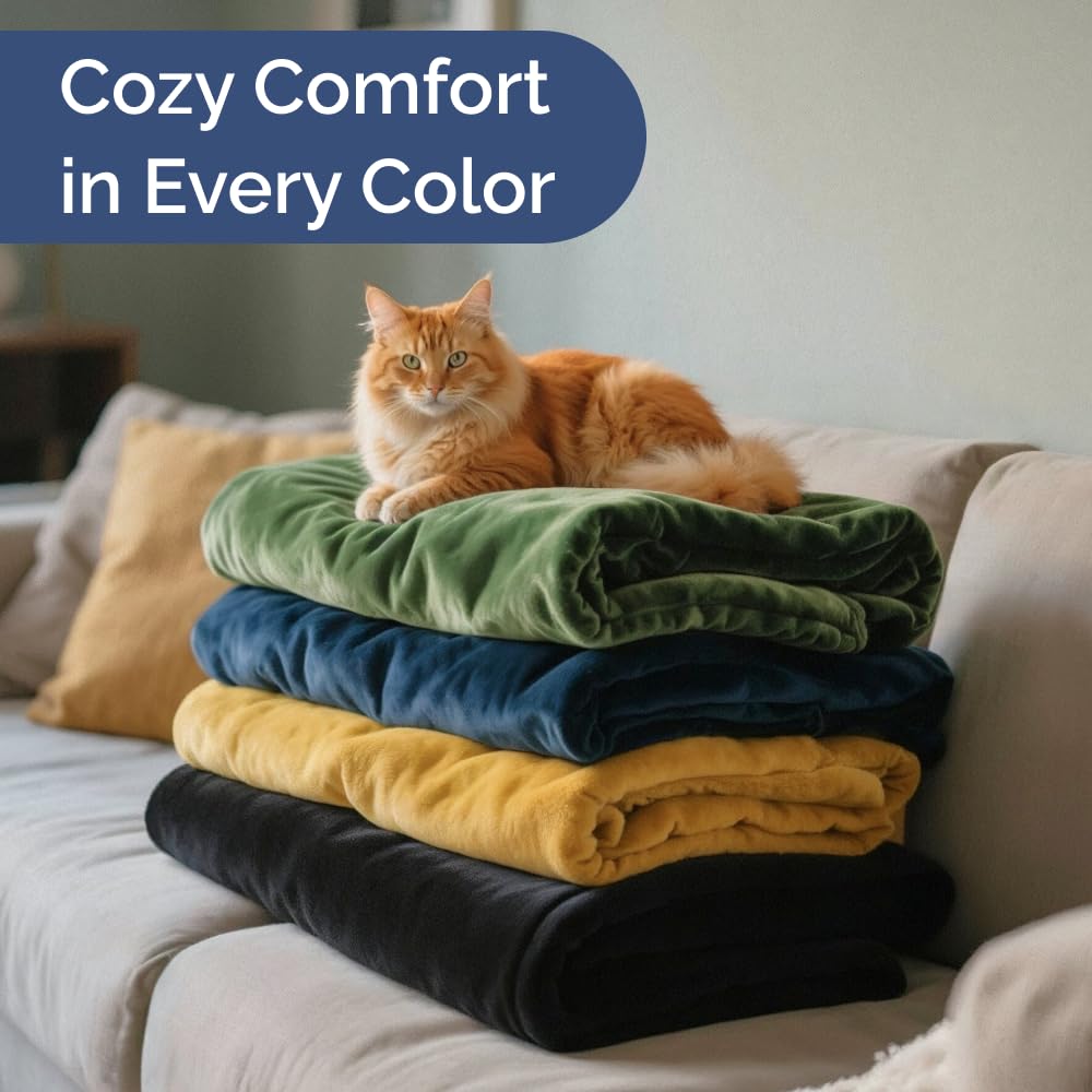 Ultra Soft Fleece Blanket Queen Size - Flannel Fleece Luxury Queen Blanket - Lightweight for Couch Bed Chair - Thick, Warm and Breathable - All Season Cozy Anti-Static Microplush Bedding, Sage Green