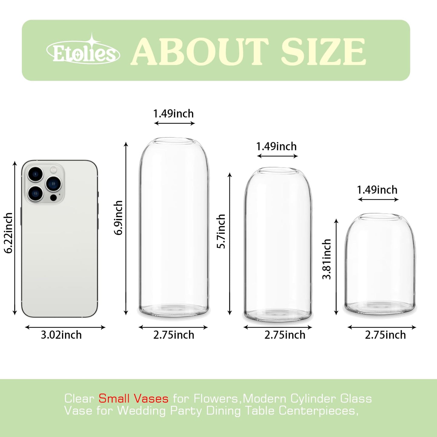 Etolies Glass Bud Vases in Bulk Set of 12, Clear Small Vases for Flowers,Modern Cylinder Glass Vase for Wedding Party Dining Table Centerpieces, Living Room Decorative, Home Decor.