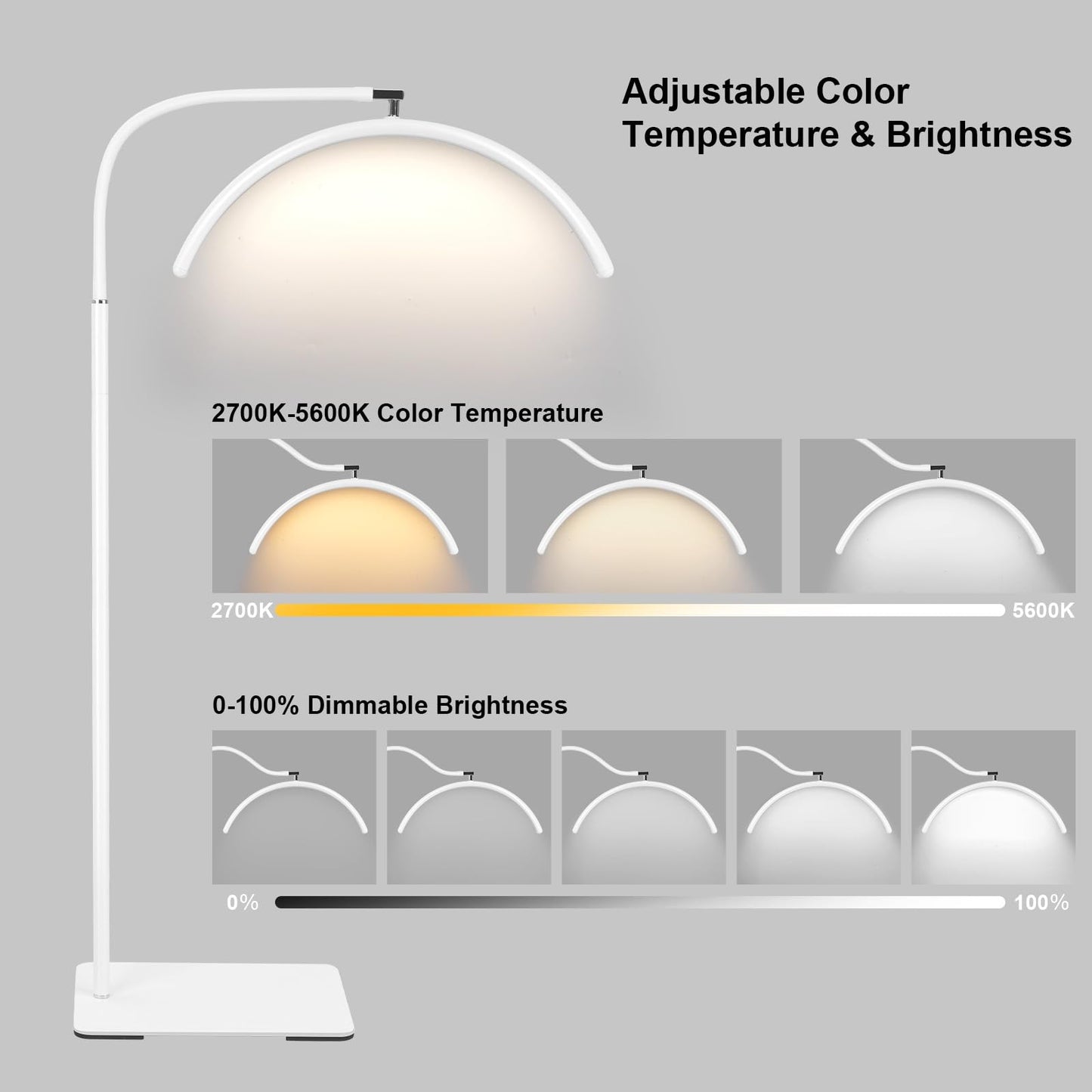 ZEKAHOV Half Moon LED Floor Light - Professional Shadow-Free Lamp for Lash Techs, Estheticians & Tattoo Artists | Dimmable for Eyelash Extensions, Nail Art, Home & Office (White)