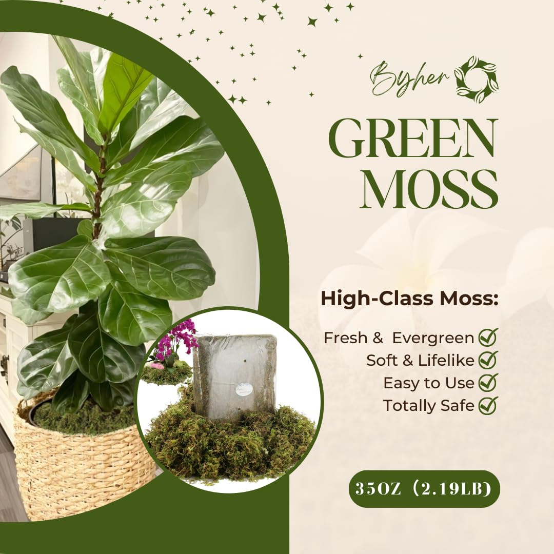 BYHER 2.2LB Large Capacity Fake Moss for Plants Indoor, 35 OZ Fresh Green Moss for Potted Plants Craft Moss for Home & Office Decor Fairy Garden Decoration (Fresh Green - 992gr)