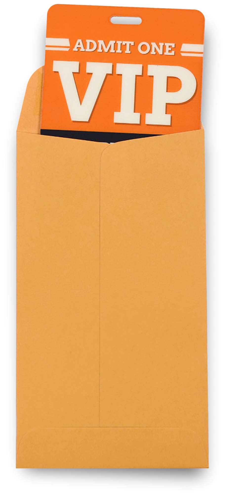 500 Guardian #6 Paper Coin Envelopes - Blank Small Envelopes for Coins, Receipts, Stamps, Small Parts Storage, & More – 3-3/8” x 6” Cash Envelopes – Gummed Flap Gift Card Holder Envelopes