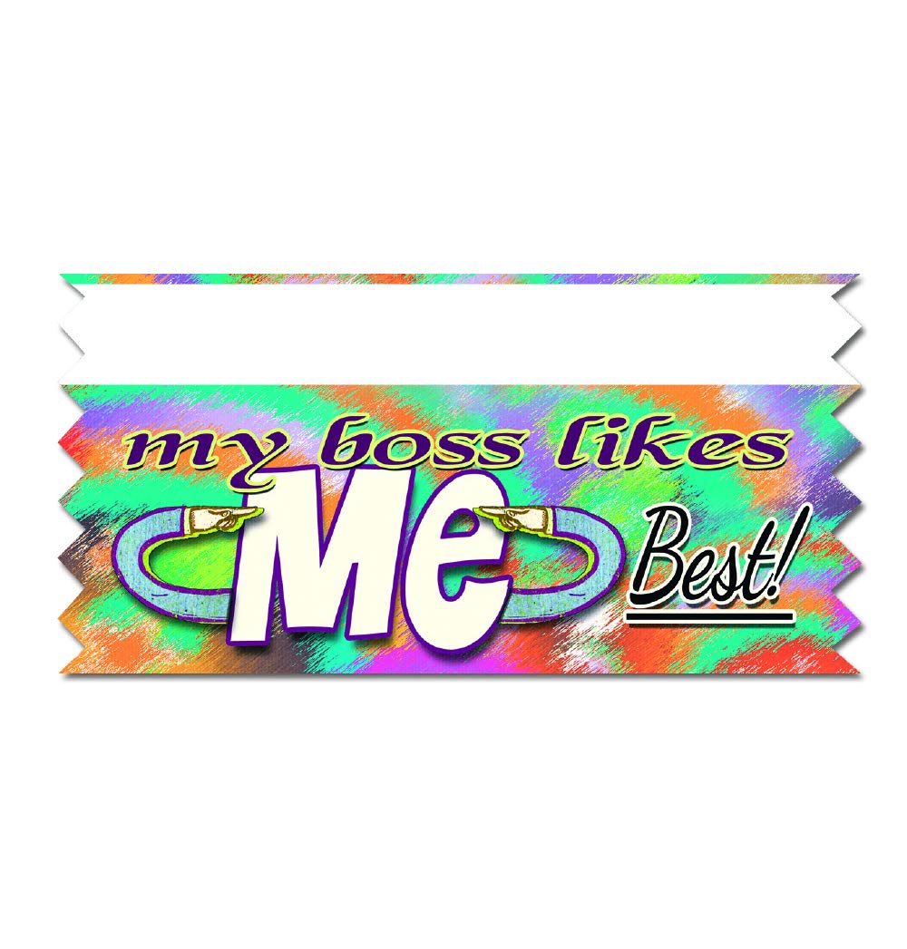 Hodges Badge - 100 Ribbon Pack - Fun @ Work Multicolor Ribbons – 100 Count Variety Pack (100) - Fun Attachable Ribbons for conferences, Office Gatherings, and Networking Events - Made in USA
