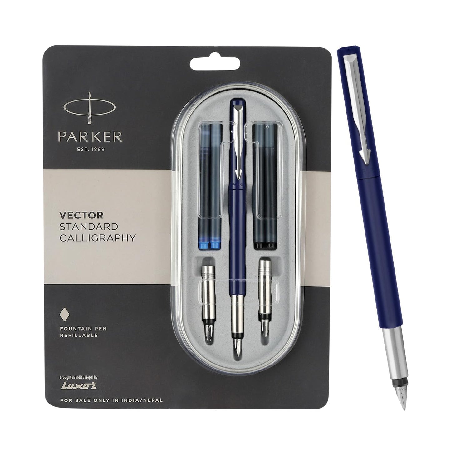 Parker Vector Standard Calligraphy Ct Fountain Pen (Blue)