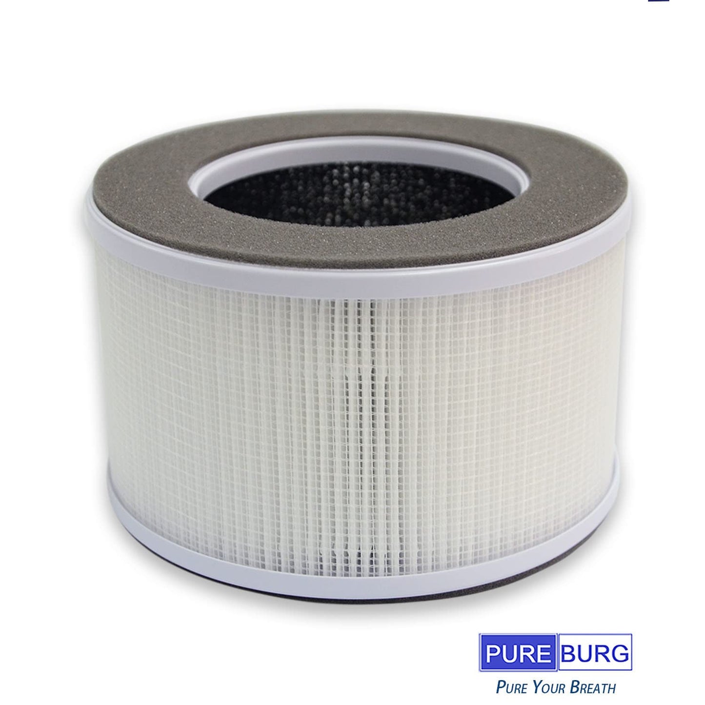 PUREBURG Replacement Filter Compatible with Greenote AP10 Air Purifier Parts AP10-F3, H13 True HEPA and Activated Carbon Multi-Layer Filtration, Pack of 2