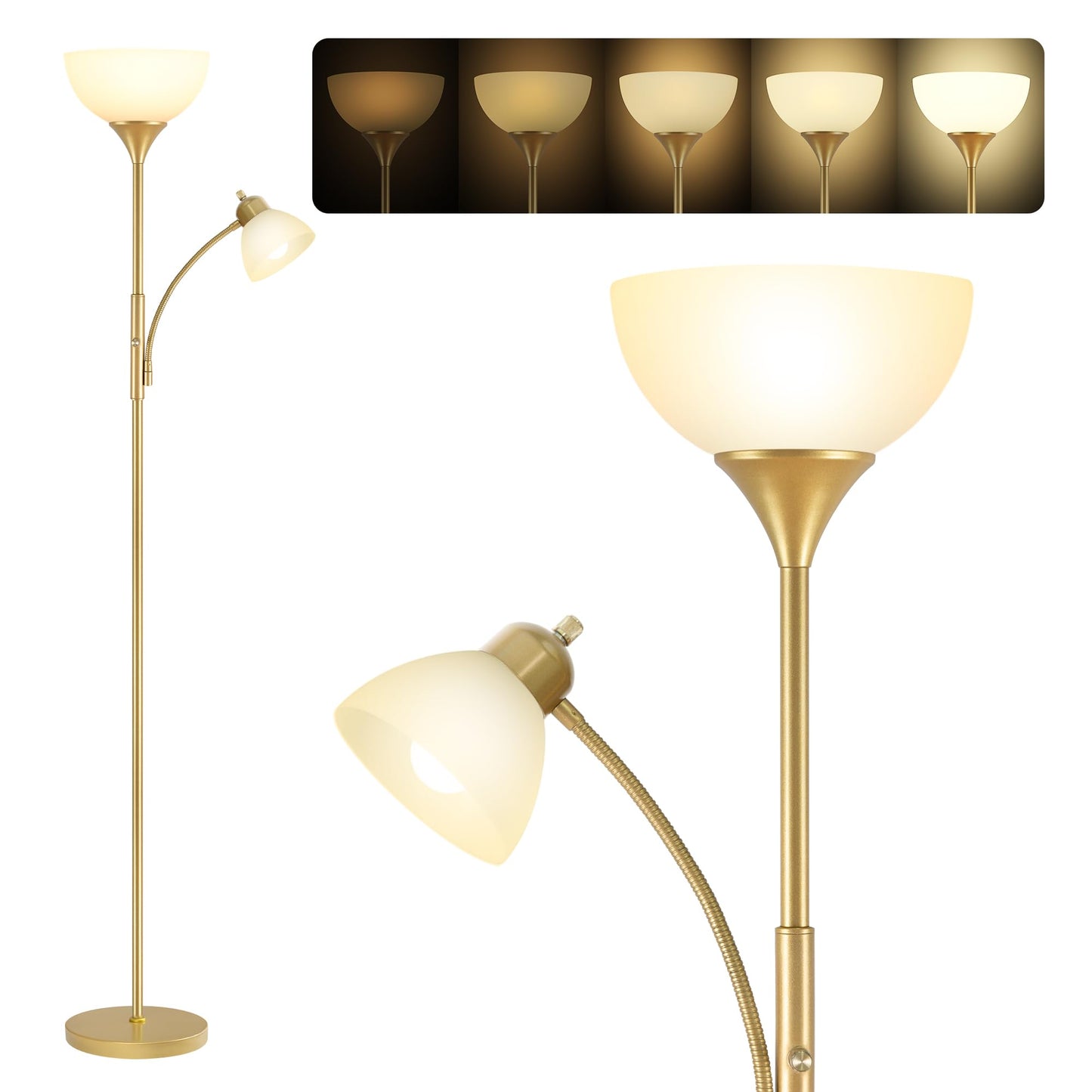 RISLG Floor Lamp, Standing lamp, Stepless Dimming Brightness, Included 9W and 5W LED Bulbs, Lamp for Living Room, Bedroom, Office, Reading