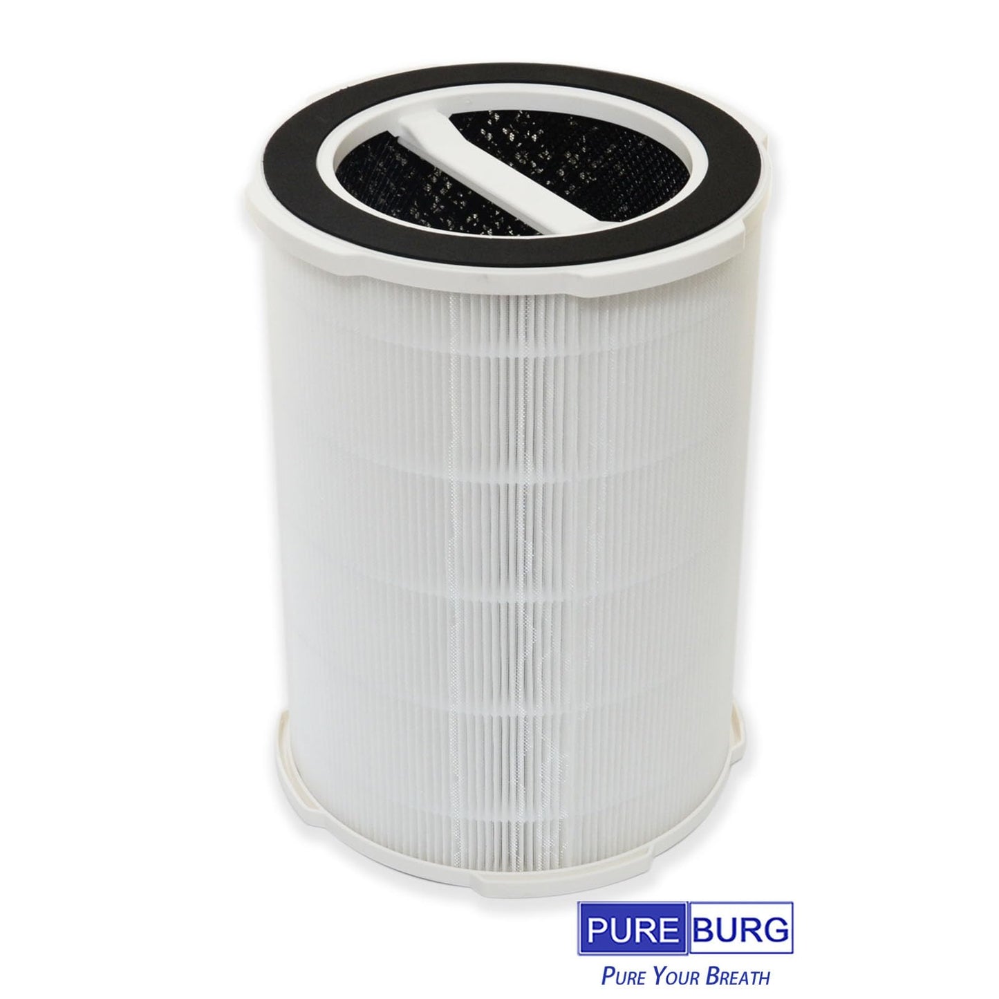 PUREBURG Replacement Filter Compatible with Ganiza G200S G200 Air Purifiers, H13 True HEPA and Activated Carbon Multi-Layer Filtration, Pack of 2