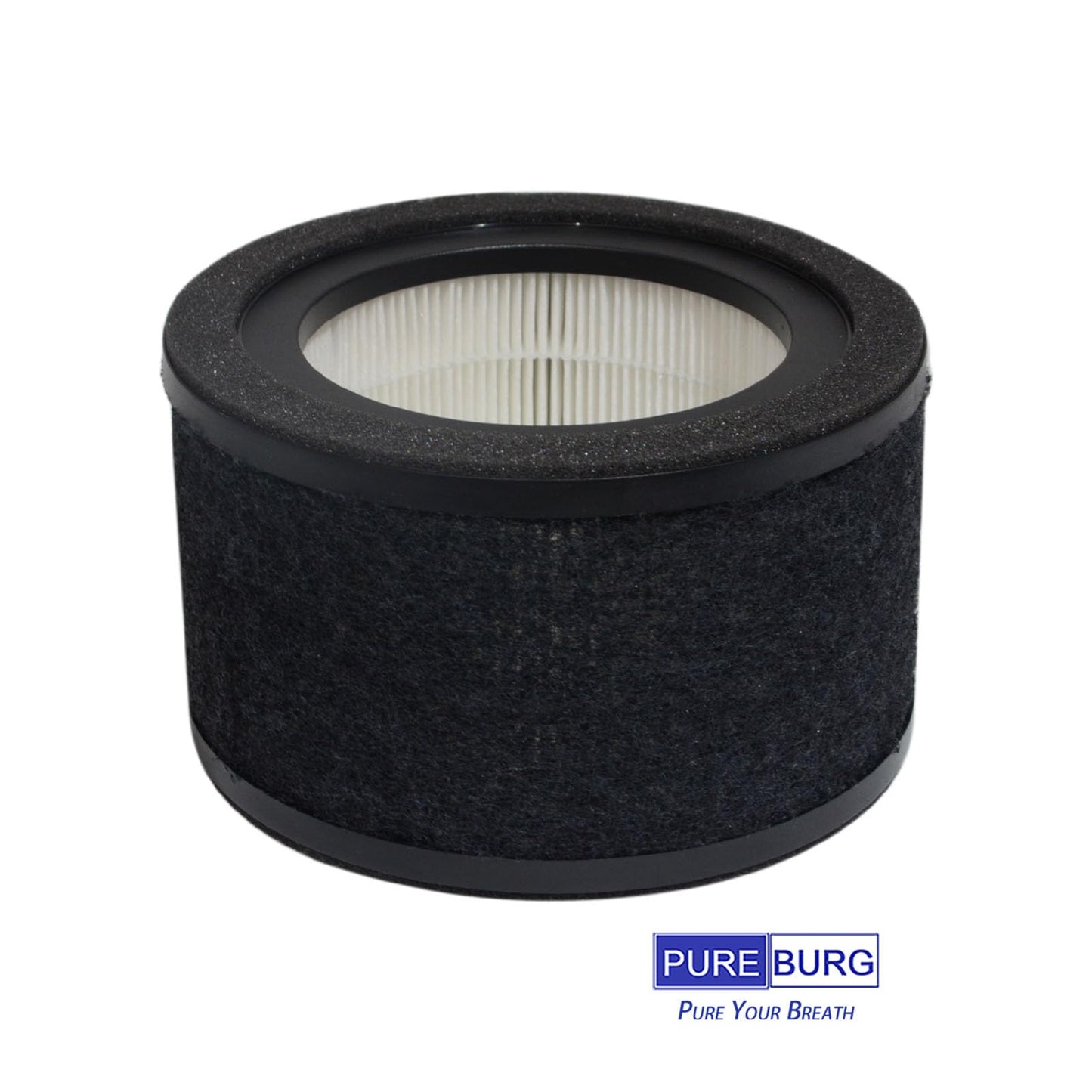 PUREBURG Replacement Filter Compatible with GermGuardian AC4200W AC4250B Air Purifier Parts FLT4200, Filter L, H13 True HEPA and Activated Carbon Pre-Filter, Pack of 2
