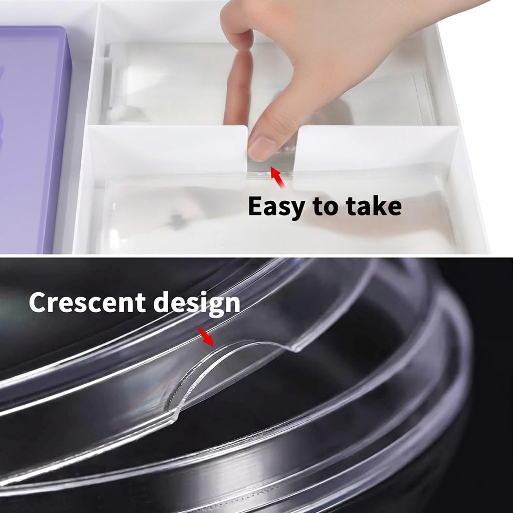 Coin Collector Case Holder with 141 pcs Capsules with Foam Gaskets & 220 Dollar Bill Sleeve - All-in-One Coin Collection Supplies Storage Box for Secure Coin and Paper Money- White