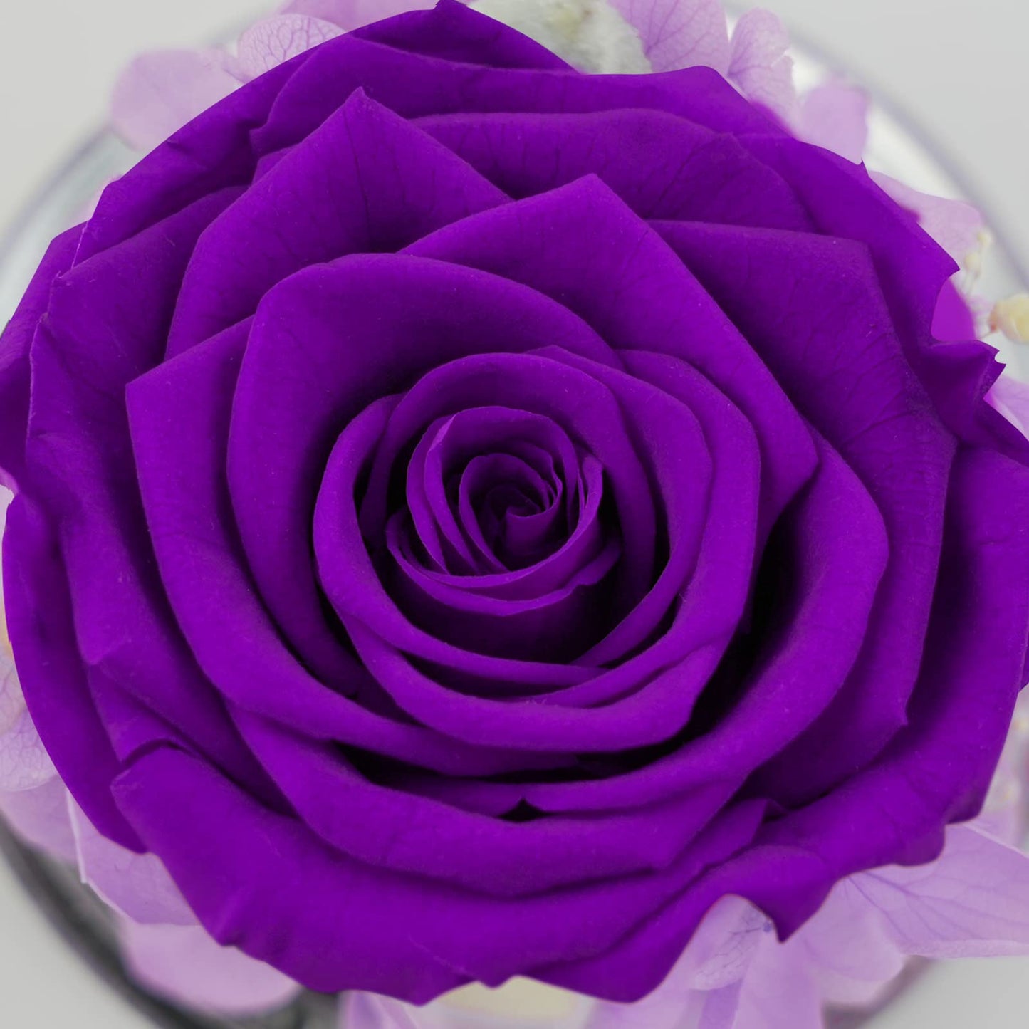 Sunia Gifts for Mom Birthday Gifts for Women, Preserved Real Roses in Glass Angel Figurine, Eternal Forever Flowers for Delivery Prime, Fresh Flower Presents for Mothers Grandma Wife Daughter Sister